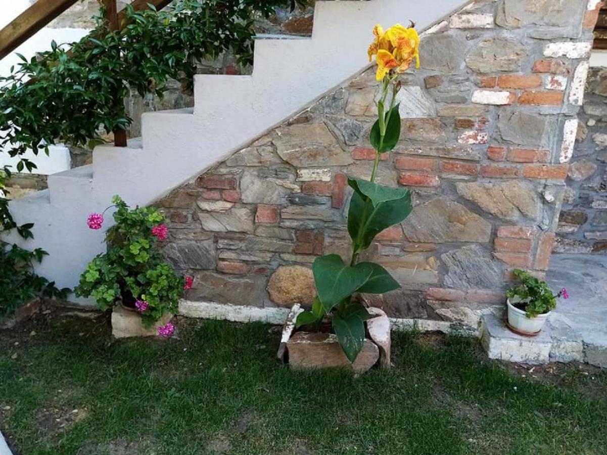 Petrino1880 Sea-Vacation Apartment In Chalkidiki Áyios Nikólaos Luaran gambar