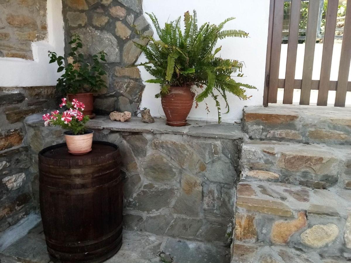 Petrino1880 Sea-Vacation Apartment In Chalkidiki Áyios Nikólaos Luaran gambar