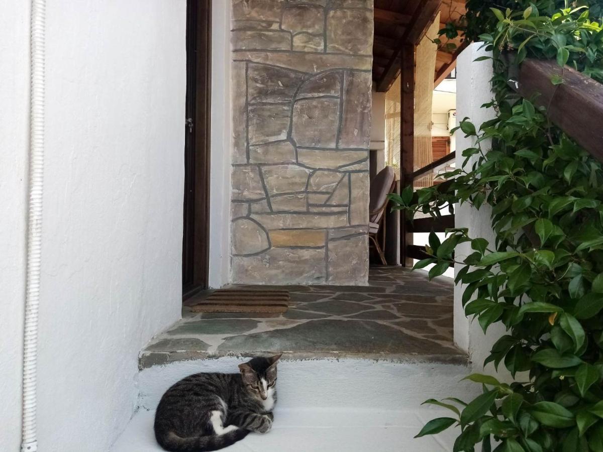 Petrino1880 Sea-Vacation Apartment In Chalkidiki Áyios Nikólaos Luaran gambar